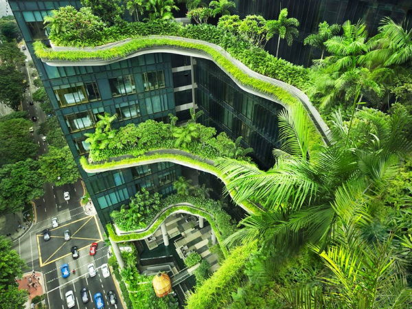 Eco-Innovations: Green Building Technologies Transforming Tomorrow